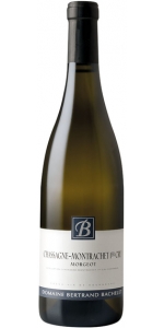 Bachelet Bertrand Chassagne Montrachet Blanc Premier Cru Morgeot 2024