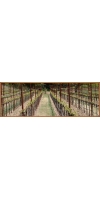 Wine from Arns Winery