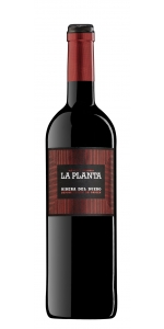 Arzuaga Ribera del Duero La Planta 2023