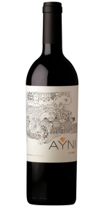 Ayni Malbec Paraje Altamira 2018 (magnum)