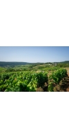 Wine from Barolet-Pernot