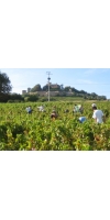 Wine from Manoir du Carra