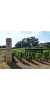 Wine from Chavy-Chouet