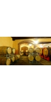 Wine from Elio Filippino
