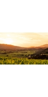 Wine from Joseph Phelps