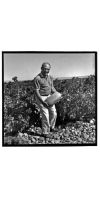 Wine from Vieux Telegraphe