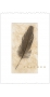 long_shadows_feather_cabernet_sauvignon_2011_hq_label.jpg - Long Shadows Feather Cabernet Sauvignon 2020