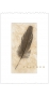 long_shadows_feather_cabernet_sauvignon_2011_hq_label.jpg - Long Shadows Feather Cabernet Sauvignon 2017