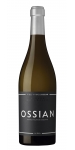 Ossian Verdejo 2020