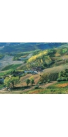 Wine from Piemonte