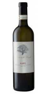 Quercia Nelle Langhe Gavi 2024
